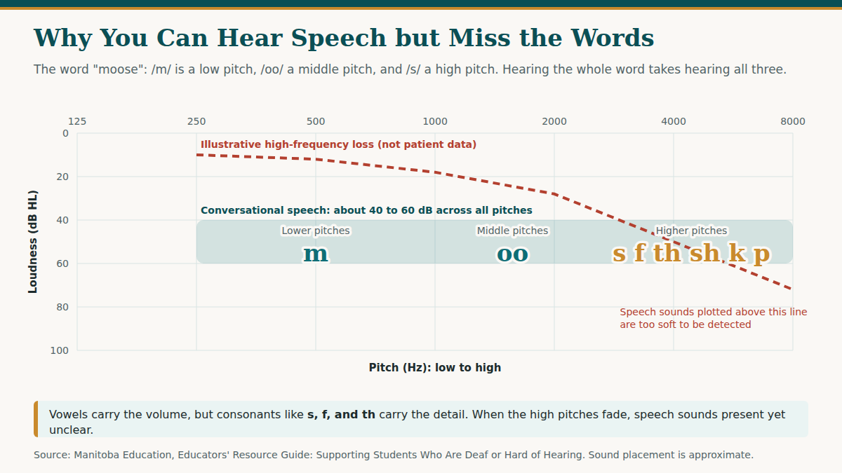 Audiogram-style chart showing where speech sounds fall from low to high pitch and how an illustrative high-frequency hearing loss line places consonants like s, f, and th below the level the ear can detect