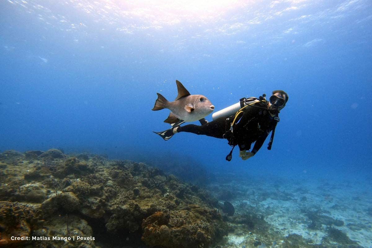 Financing-Options-for-SCUBA-Diving