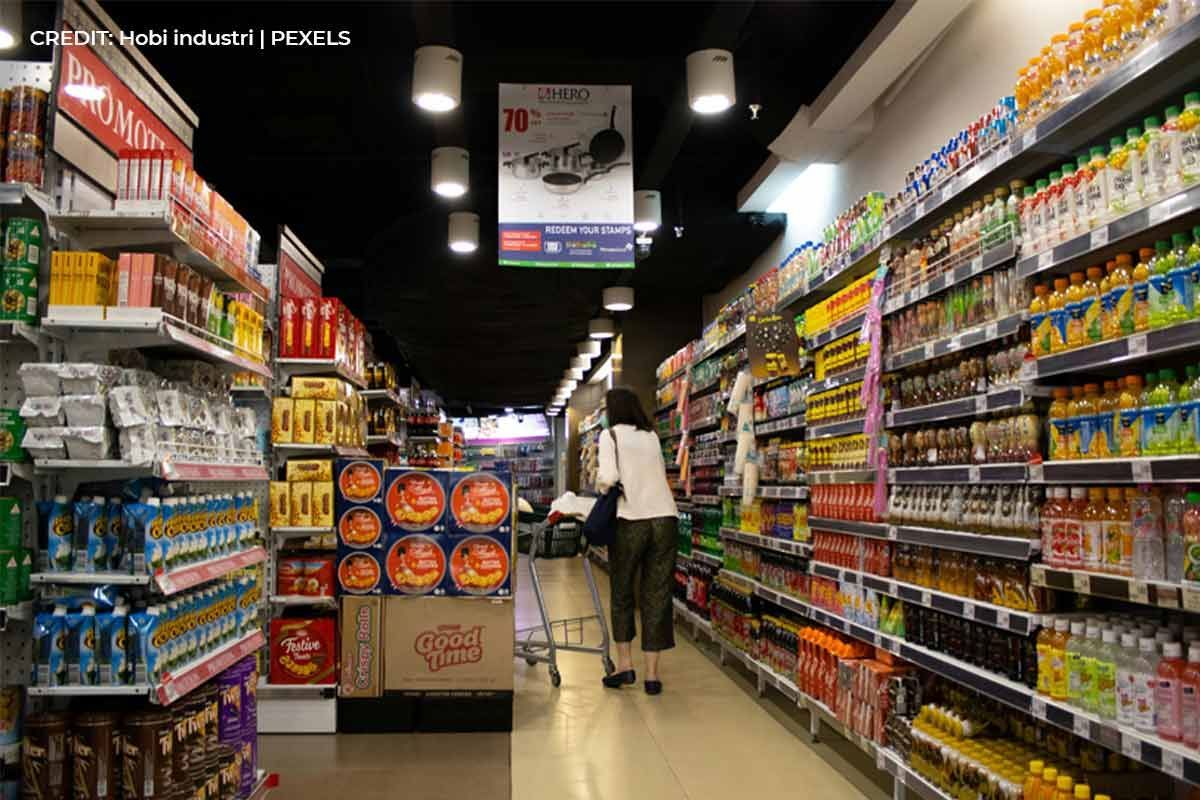 Understanding-the-Inflationary-Mechanisms