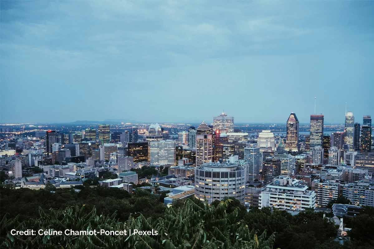 Montreal's Urban Bloom: A Festival of Free Fun