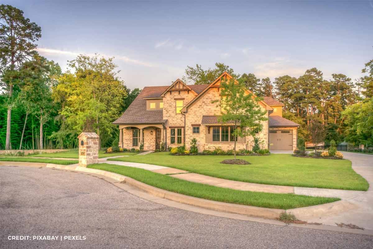Assessment and Planning: The Foundation of Lawn Revitalization