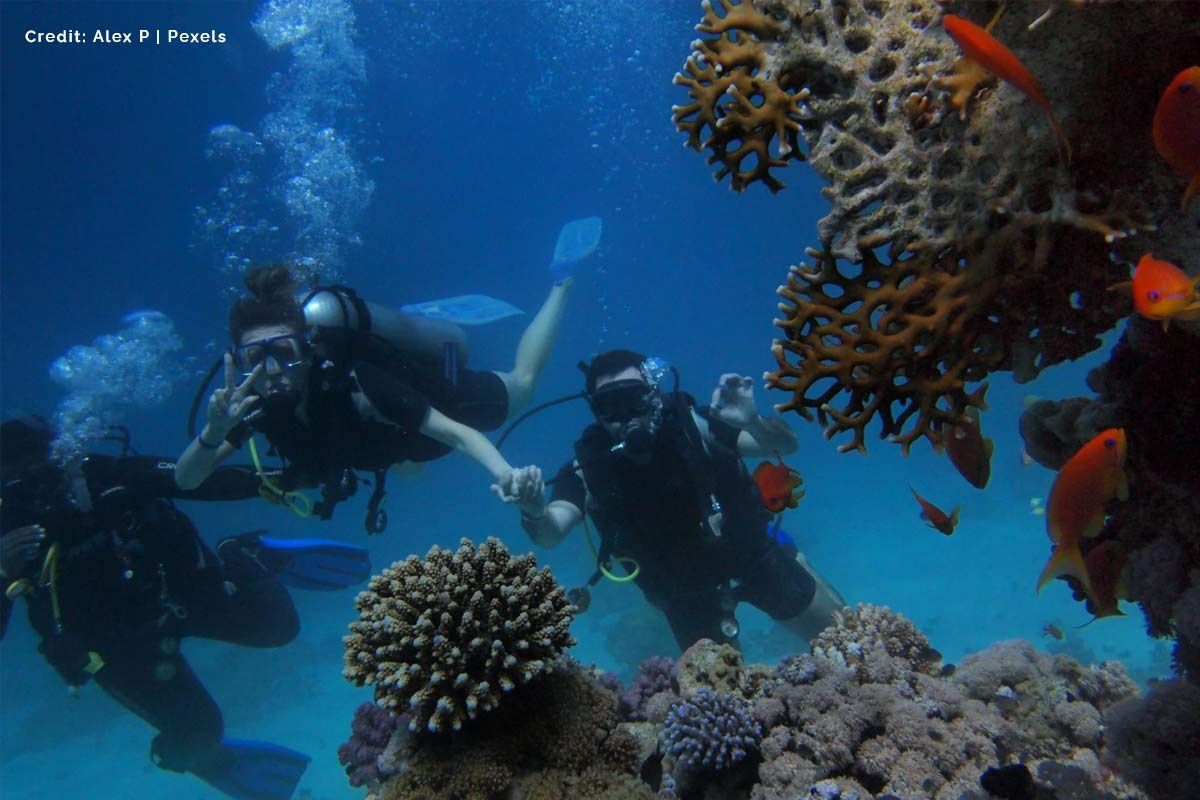 The Costs of SCUBA Diving Certification