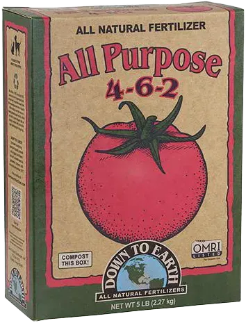 Box of