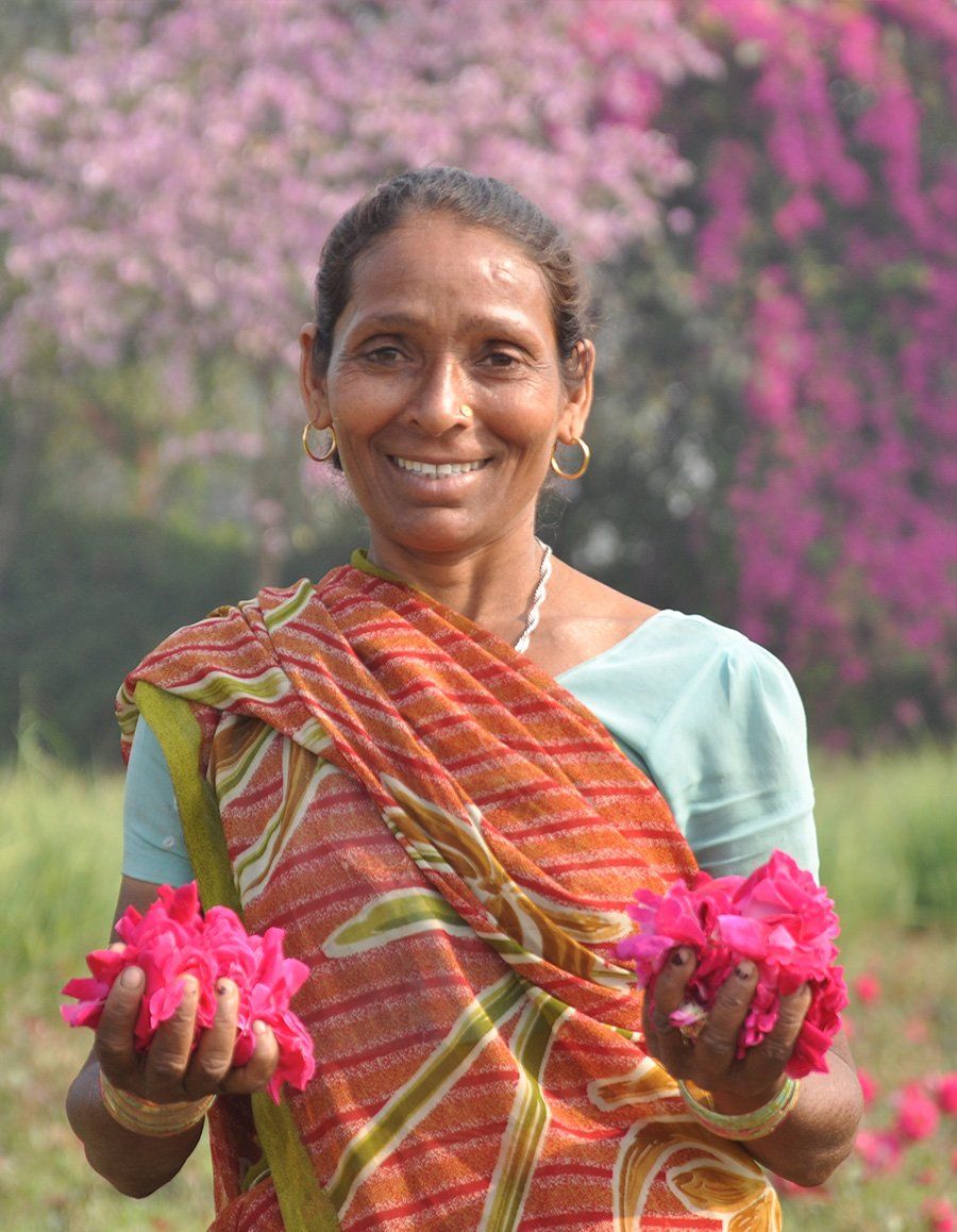 Woman in sari smiling, holding pink roses in a garden. Background features pink flowering trees.