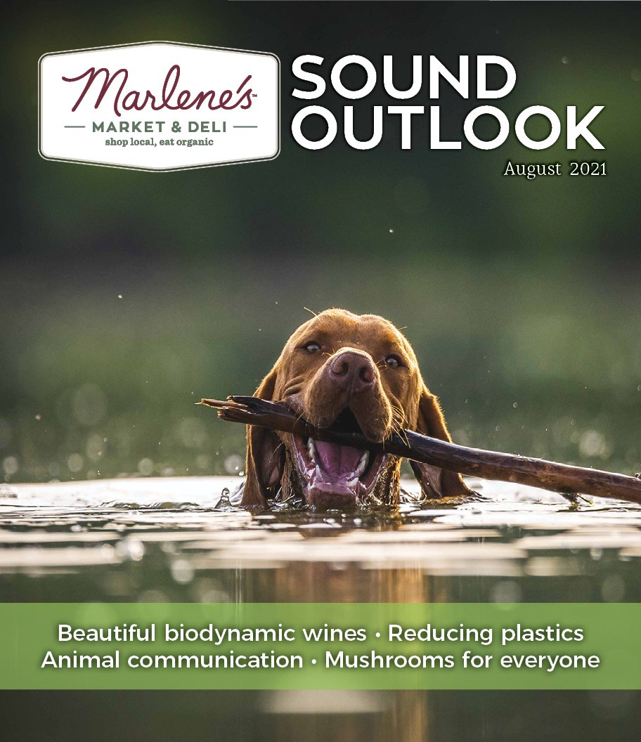 Cover of 