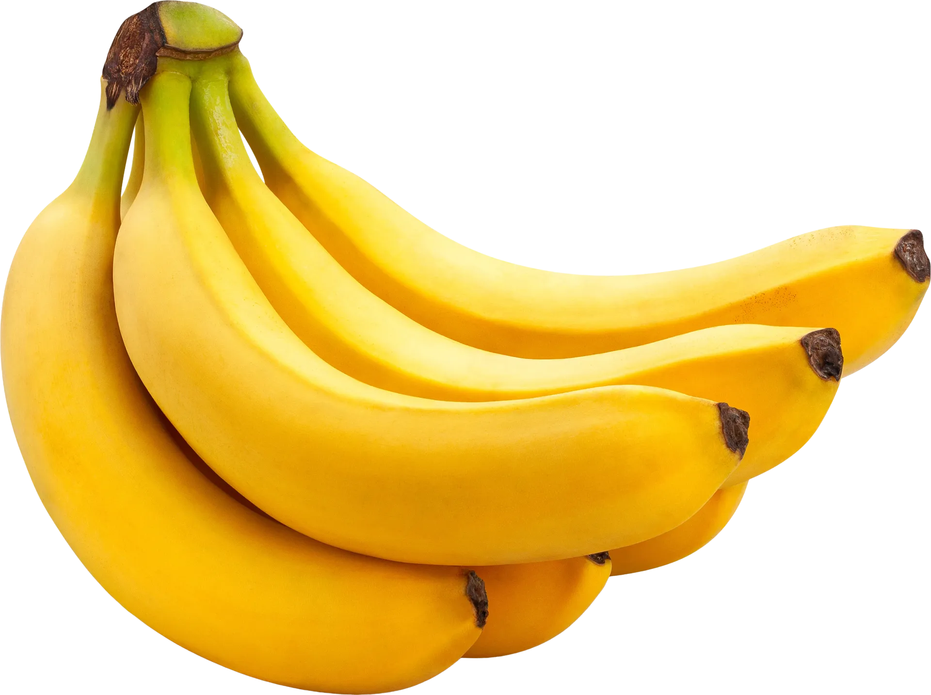 $1.19/lb