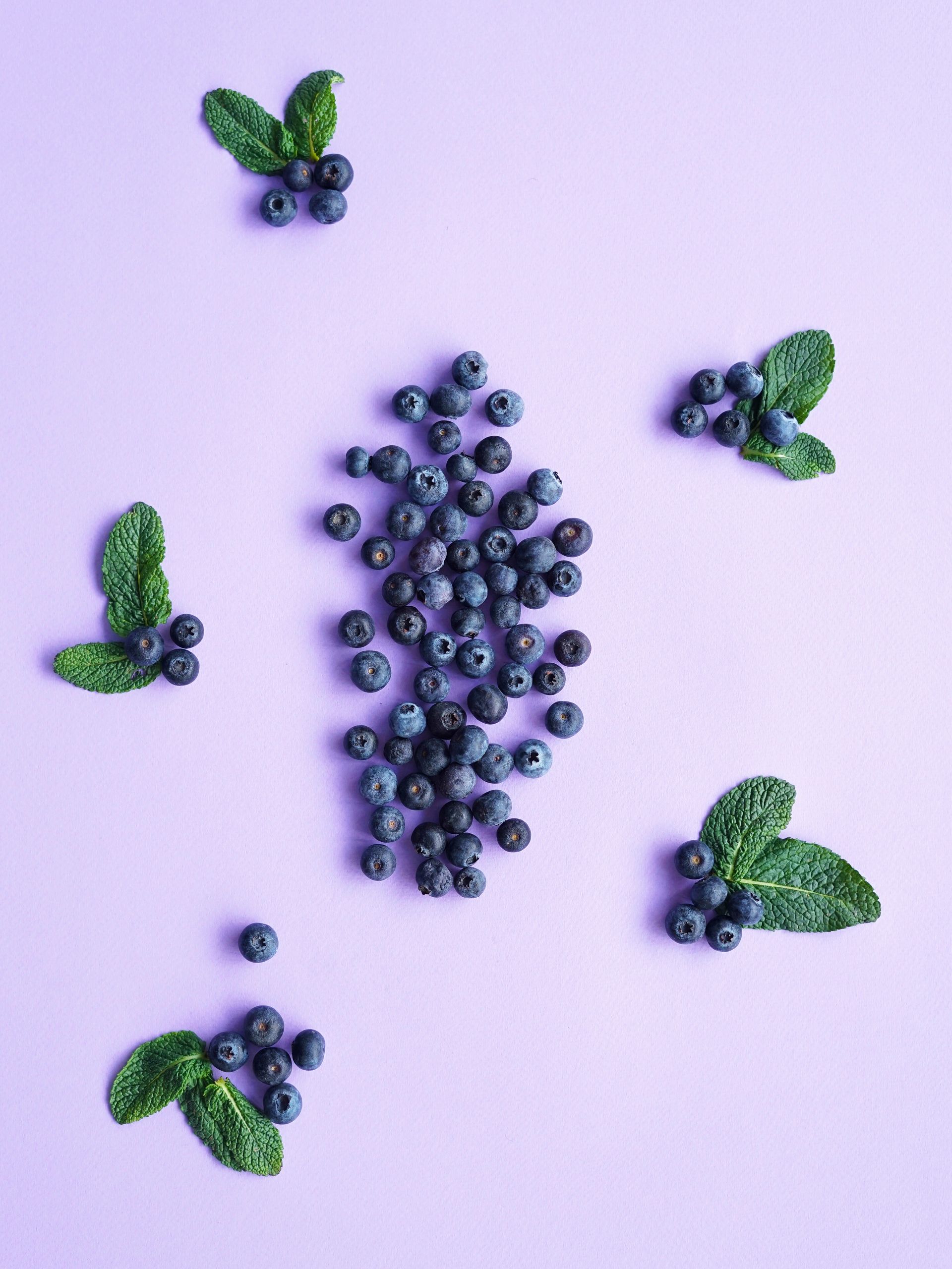 Blueberries and sprigs of green mint arranged on a lavender background.