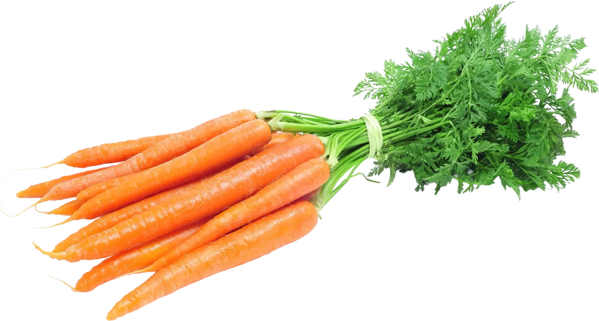 $3.49 ea