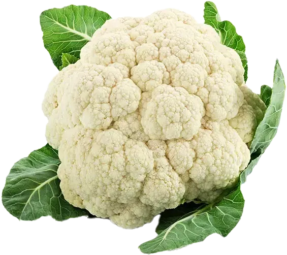 $1.69/lb