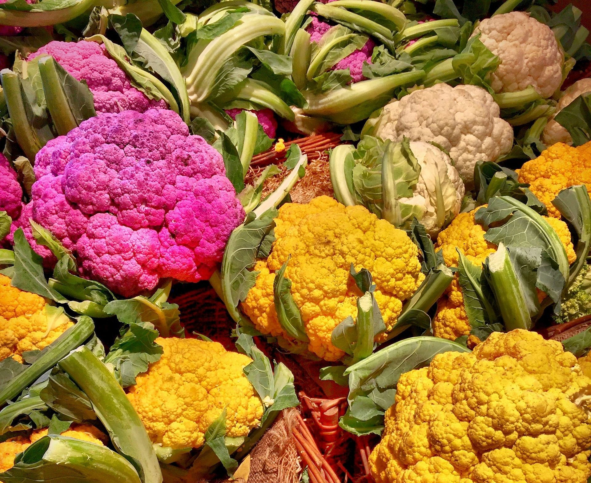 Colorful caulifower heads: purple, yellow, and white, with green leaves, in a wicker basket.