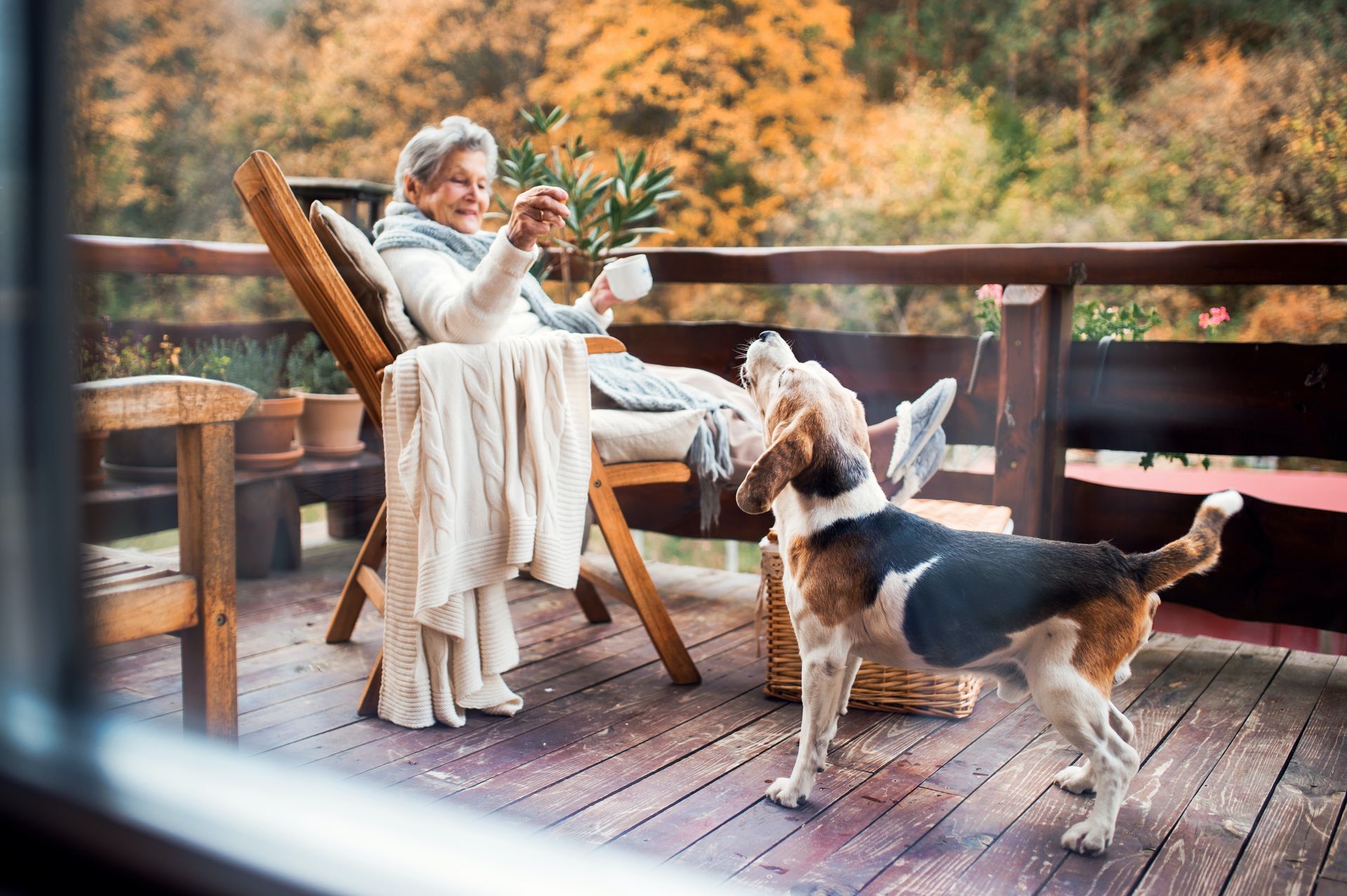 An older woman sits on a deck, drinking from a mug, while a beagle stands and barks. The setting is outdoors with fall foliage.