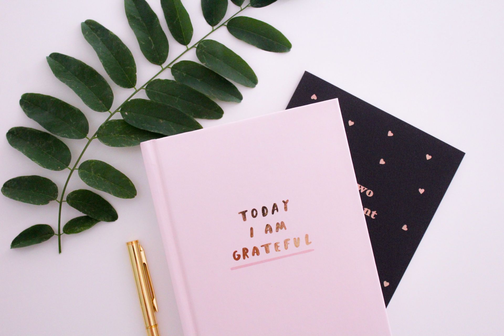 Pink journal with