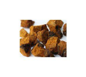 Chunks of chaga mushrooms, a dark brown fungus, with a rough, irregular texture against a white background.