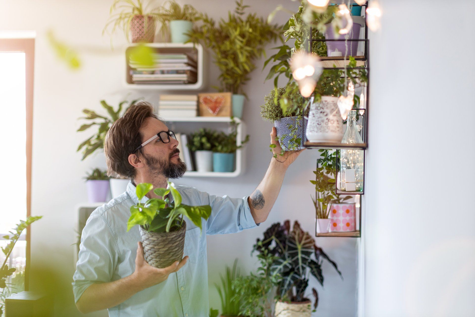 Man with glasses and a beard tending to plants on shelves. Interior, bright light.