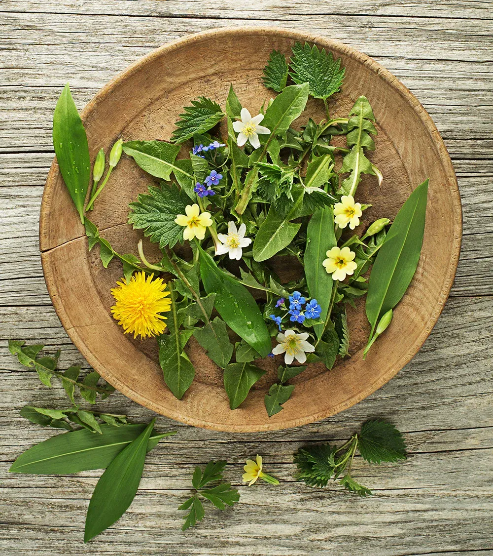 Wooden bowl filled with various edible plants, including dandelion, primrose, and blue forget-me-nots, on a rustic wooden surface.