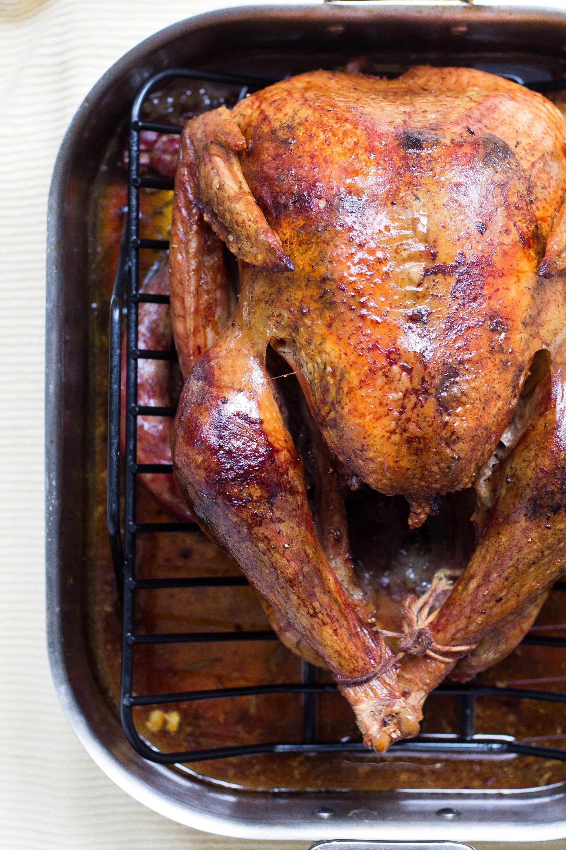 Roasted turkey in a roasting pan on a wire rack, browned skin, close-up shot.
