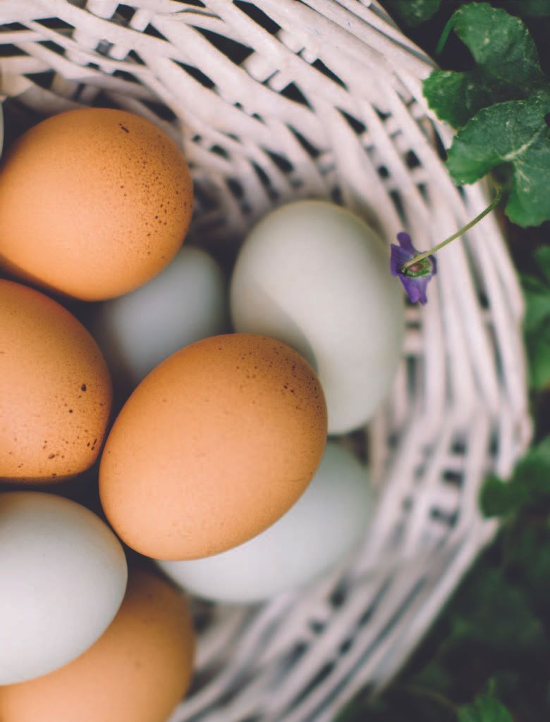 A woven basket filled with brown and light blue eggs, nestled in green foliage, with a small purple flower.