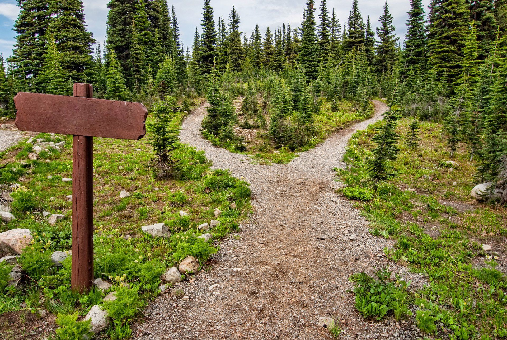 Fork in a gravel path in a green forest. A blank, brown signpost stands on the left.