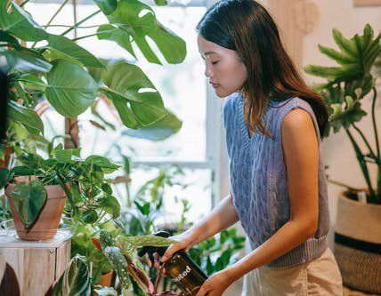 Woman watering plants indoors by a window. She wears a blue sweater and beige pants.