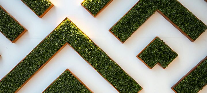 A maze made of green grass on a white surface.
