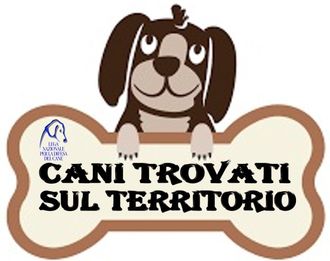 manifestazioni con il canile di bibiana