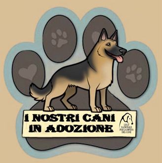 cani da adottare