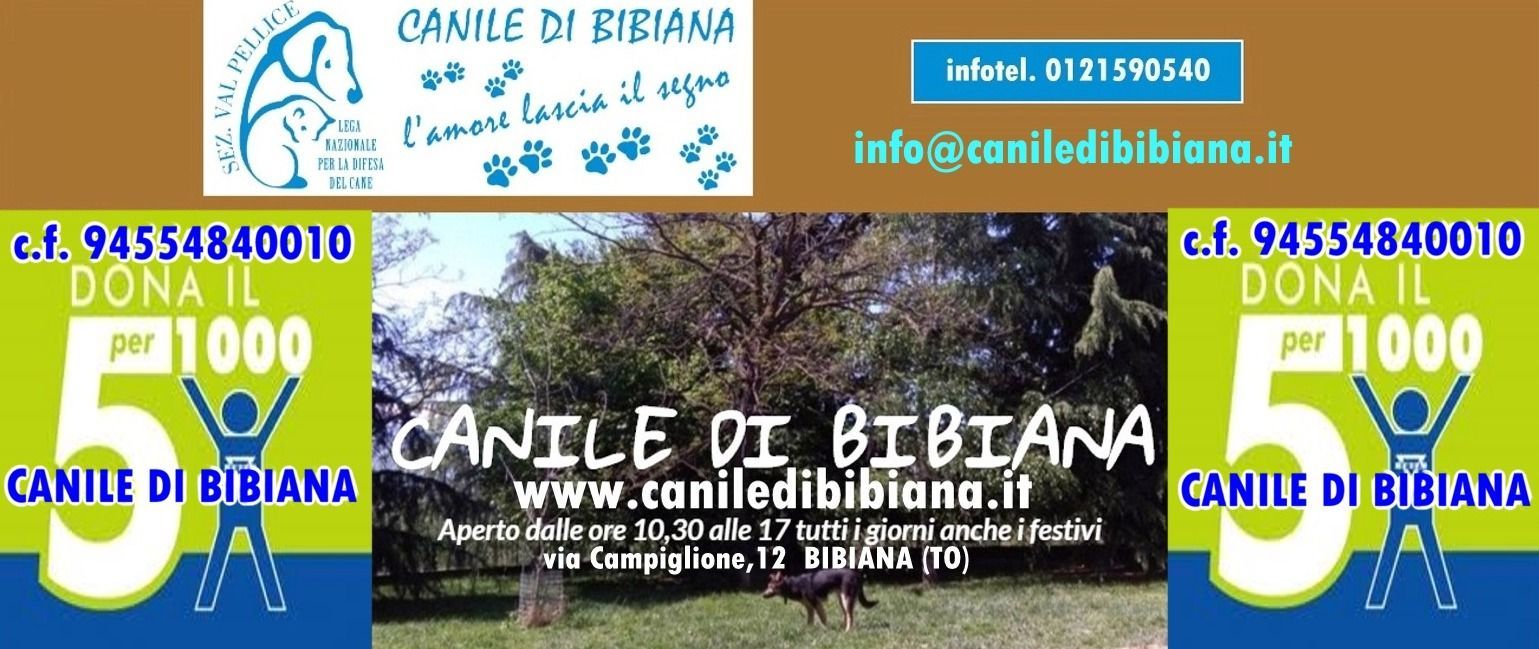 Canile Bibiana logo