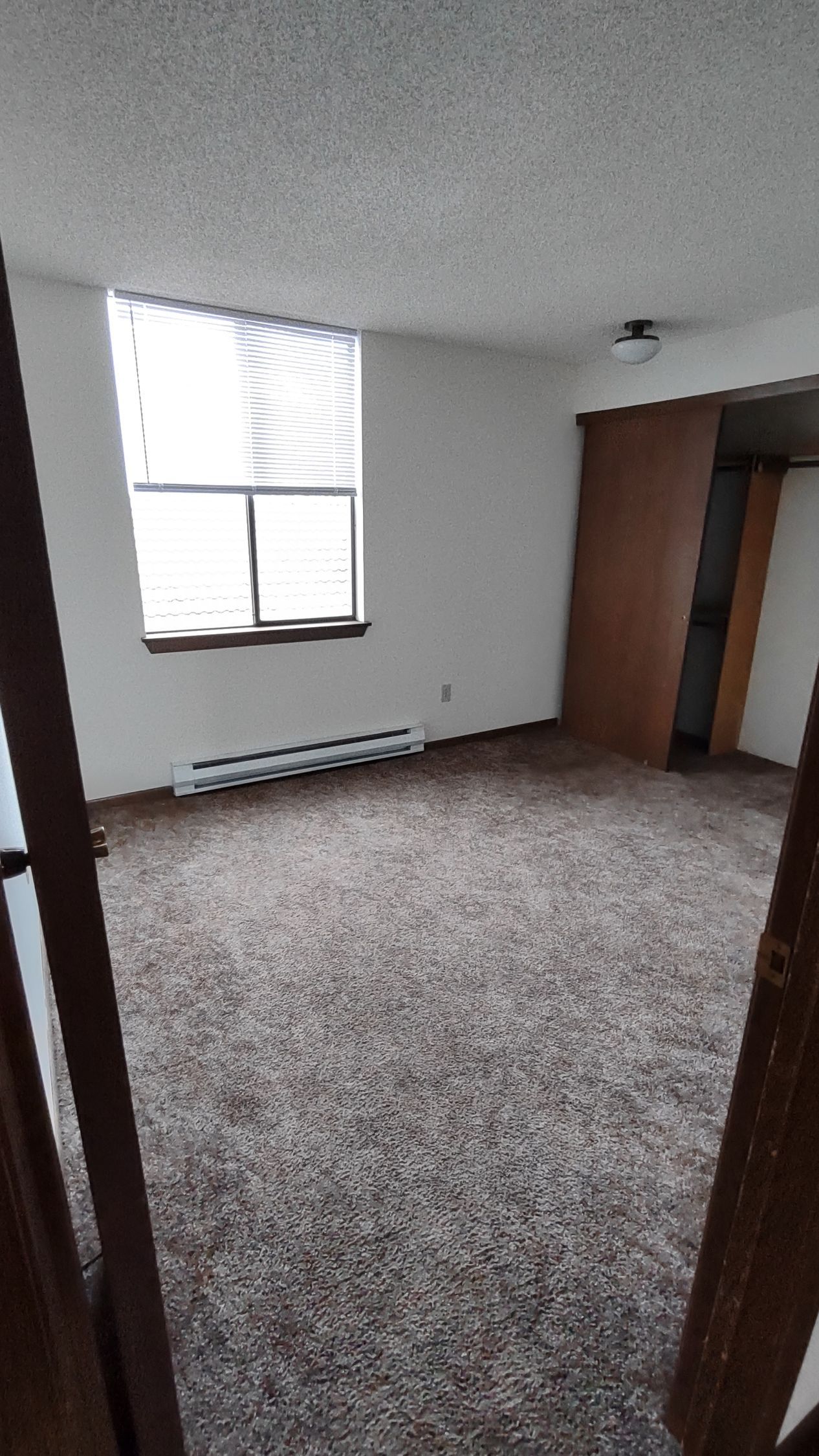 An empty room with a window and a brown carpet.