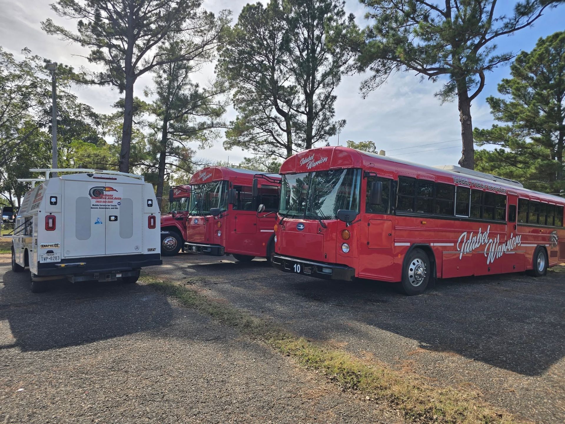 Red trolley buses parked on a gravel lot among pine trees and utility poles