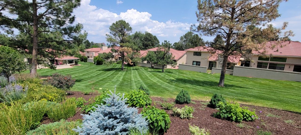 Gallery Cinderella Enterprises Inc. Colorado Springs, CO