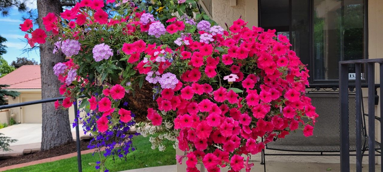 Gallery Cinderella Enterprises Inc. Colorado Springs, CO