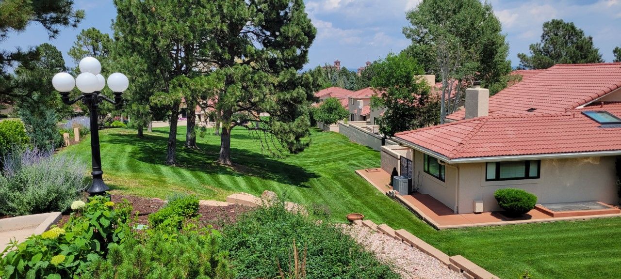 Gallery Cinderella Enterprises Inc. Colorado Springs, CO