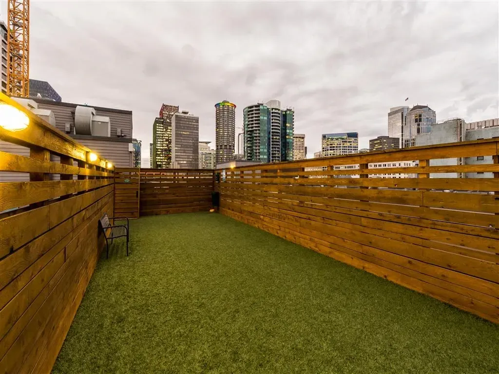 Rooftop dog park with city skyline view.