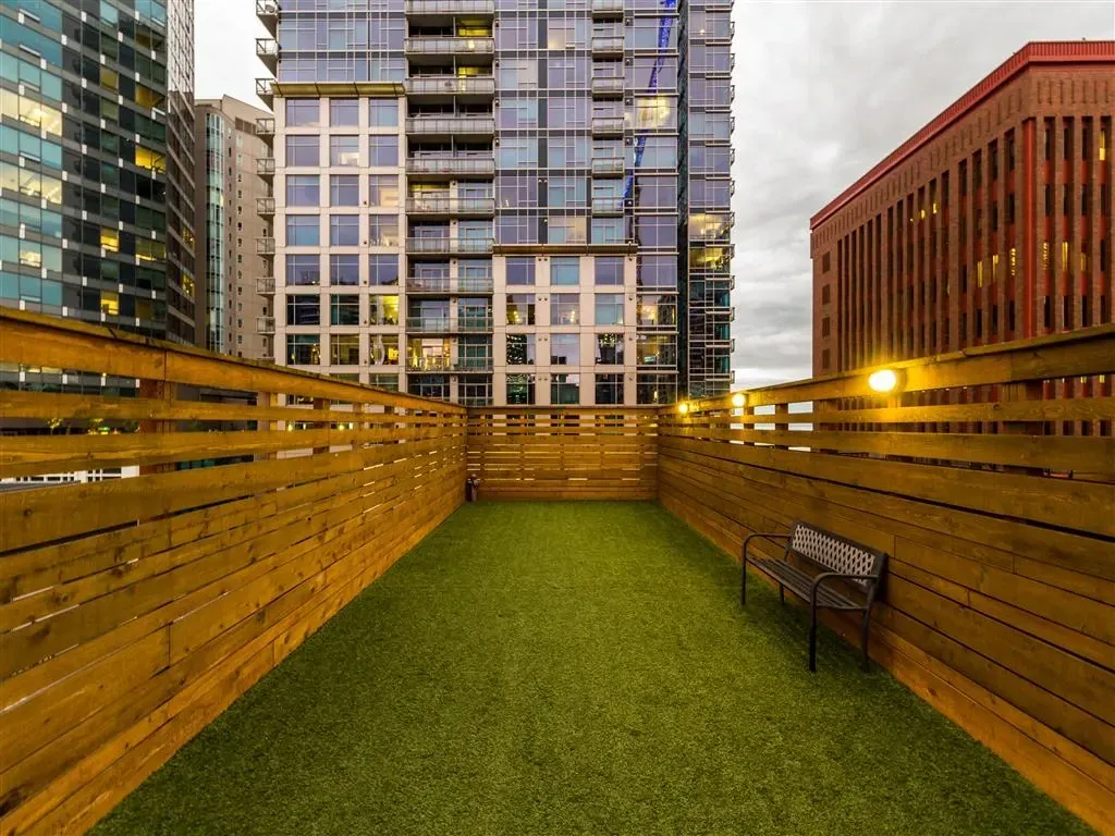 Rooftop dog run with artificial grass and wooden fences.