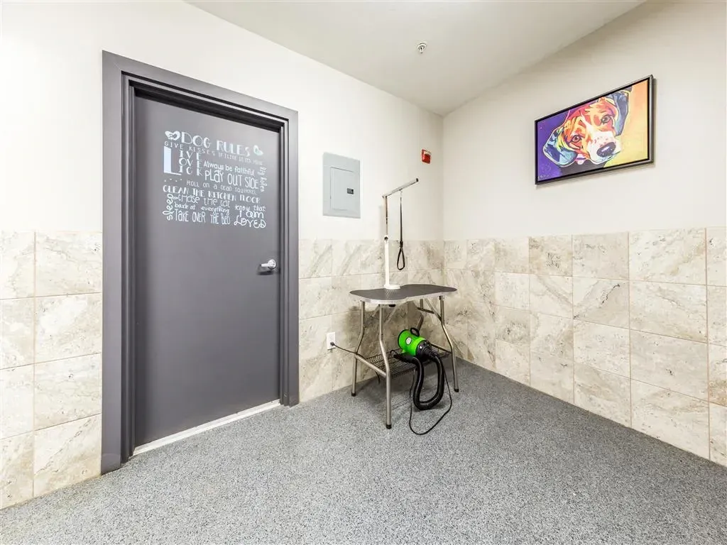 Dog grooming station with a grooming table, dryer, and dog-themed artwork on the wall.