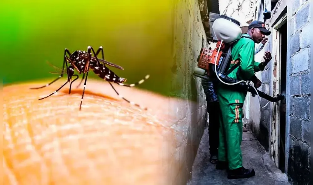 Mosquito sobre la piel junto a un trabajador con equipo de protección verde que rocía la pared de un callejón.