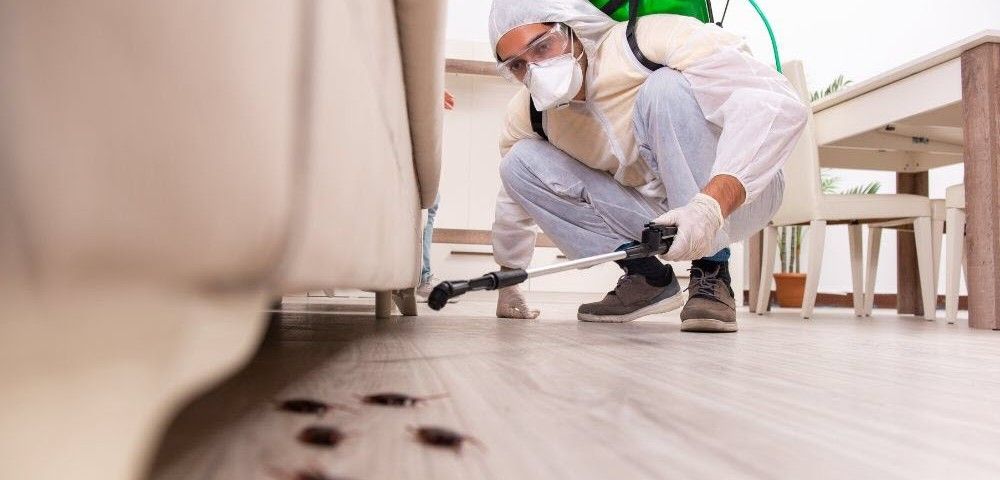 Una persona con equipo de protección inspecciona manchas oscuras en el suelo debajo de los muebles, agachada con una linterna.