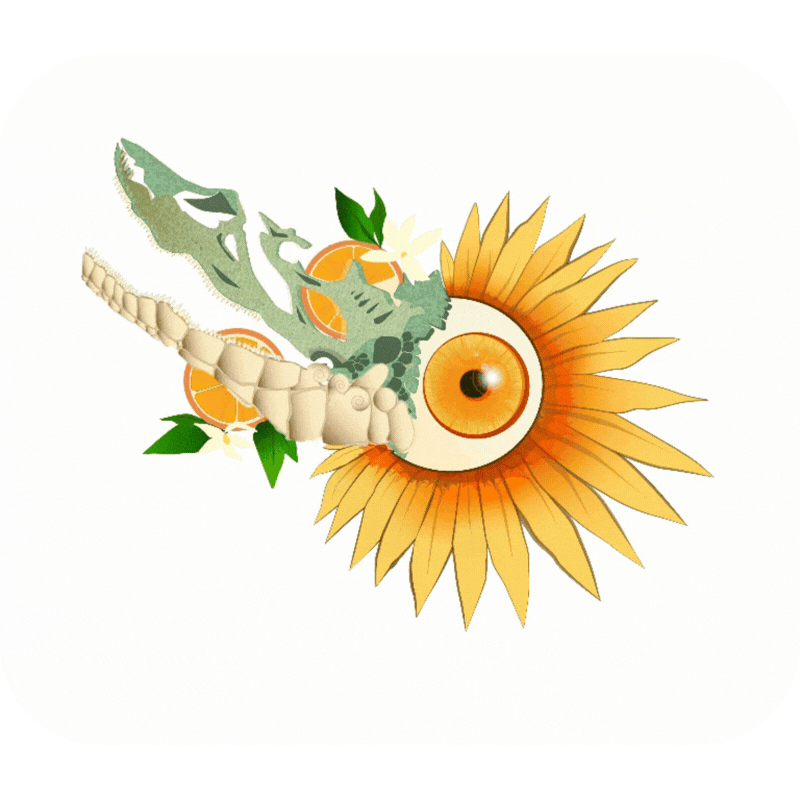 Illustrated bird skull with sunflower petals and orange eye on a white background