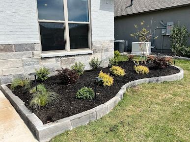 Curved flower bed with yellow flowers and shrubs beside a home in Denton TX