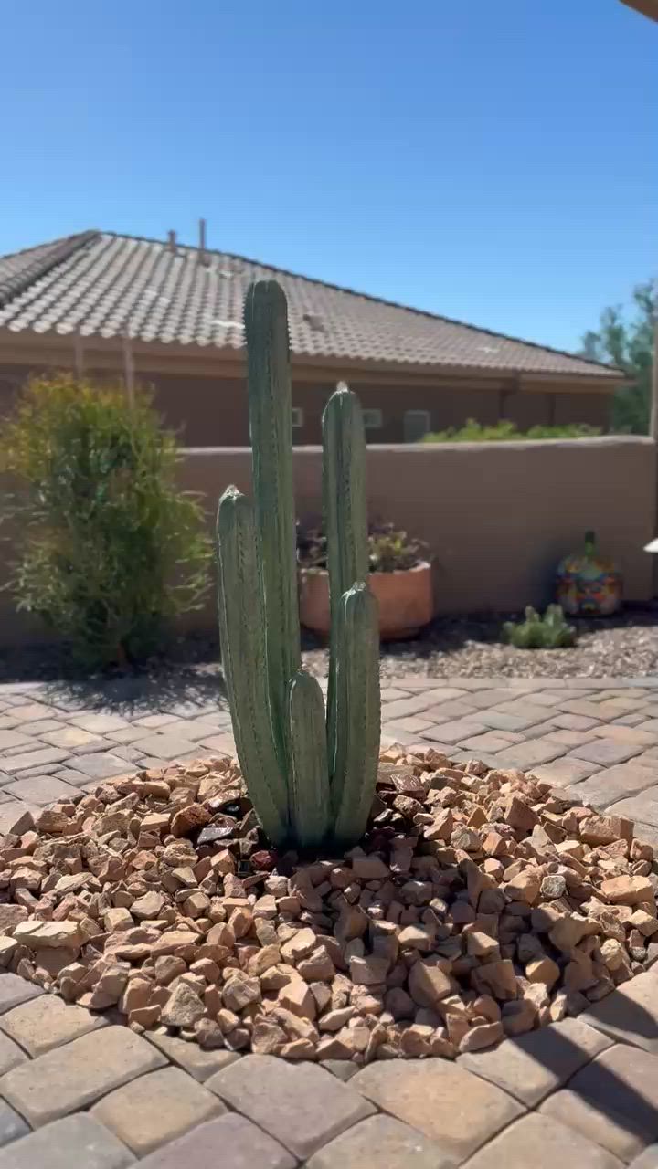 Gallery | Stone Cactus Fountains | Tucson, AZ