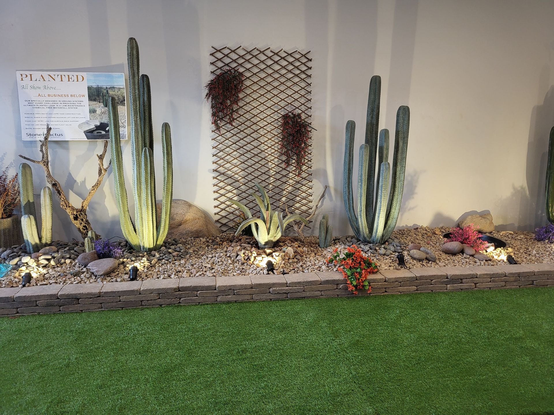A row of cactus plants are growing in a garden.