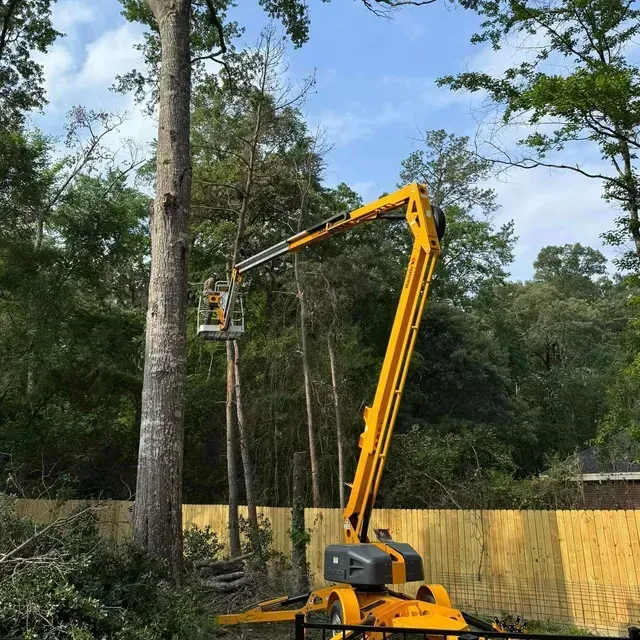 Yellow lift working on tall tree, person in basket trimming branches. Wooden fence, green foliage, blue sky.