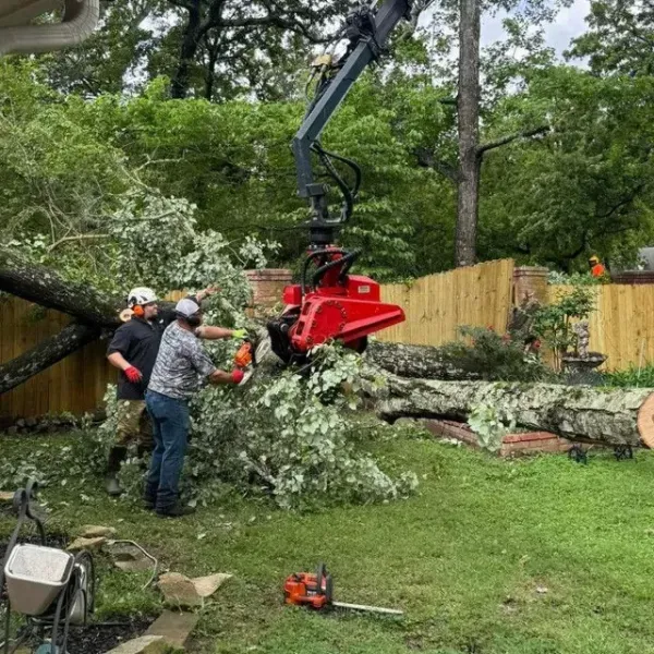 Tree service crew cutting fallen tree limbs with a large grapple and chainsaw in a backyard.