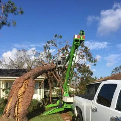 A tree damaged by a storm being removed with a green lift next to a white truck and houses.