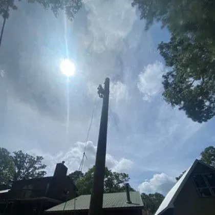 Lineman on utility pole against a bright sun and cloudy sky; houses below.
