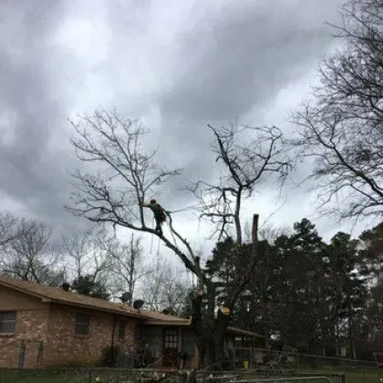 A person is pruning a tree next to a brick house under a cloudy sky.