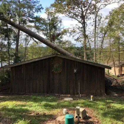 A large tree branch rests on top of a wooden shed in a yard.