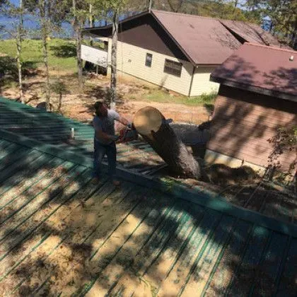 Two men cutting a large tree trunk that has fallen onto a green metal roof near a house.
