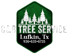Logo for C&R Tree Service in Lufkin, TX: green hexagon with trees, white text, and phone number.