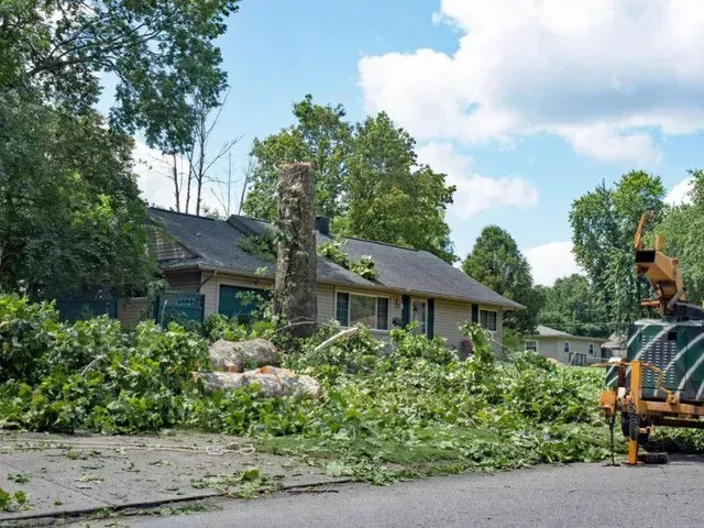 A house with a large, cut tree in front; debris litters the lawn and road.